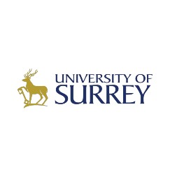 UNIVERSITY OF SURREY